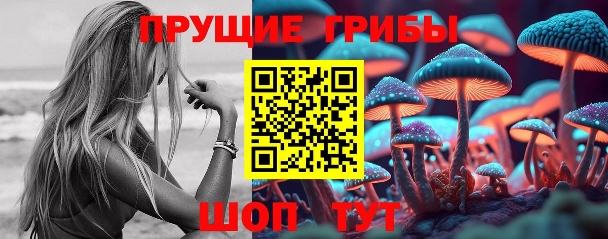 Лыткарино  Псилоцибиновые грибы Magic Shrooms  Псилоцибиновые грибы Psilocybine cubensis  Вход с VPN 